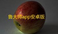 鲁大师app安卓版